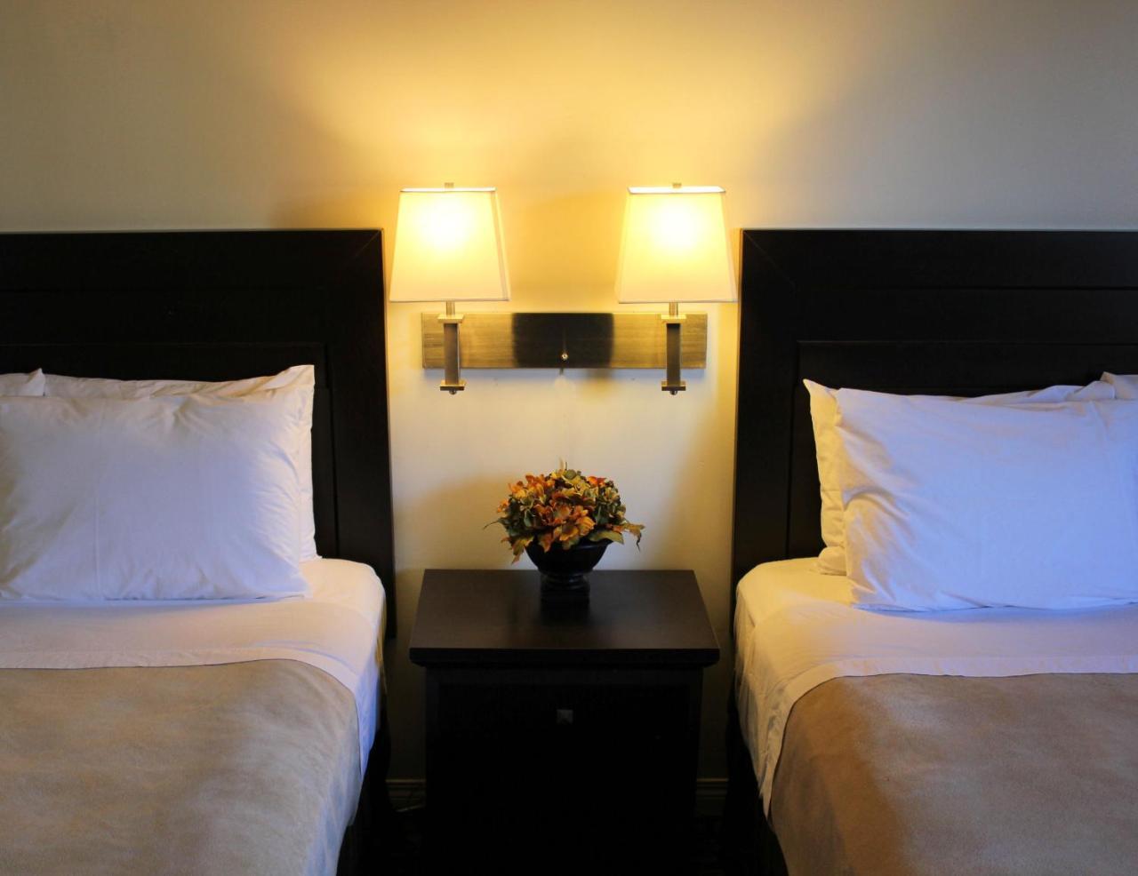Coronet Hotel 프린스알버트 외부 사진